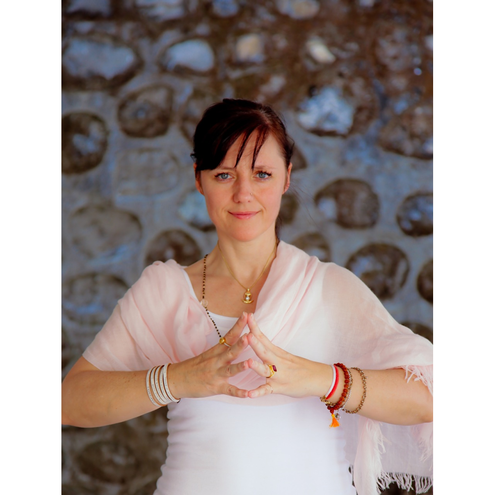 SVA Yoga | 1311 Hainstock Way SW, Edmonton, AB T6W 3B6, Canada | Phone: (780) 819-6859