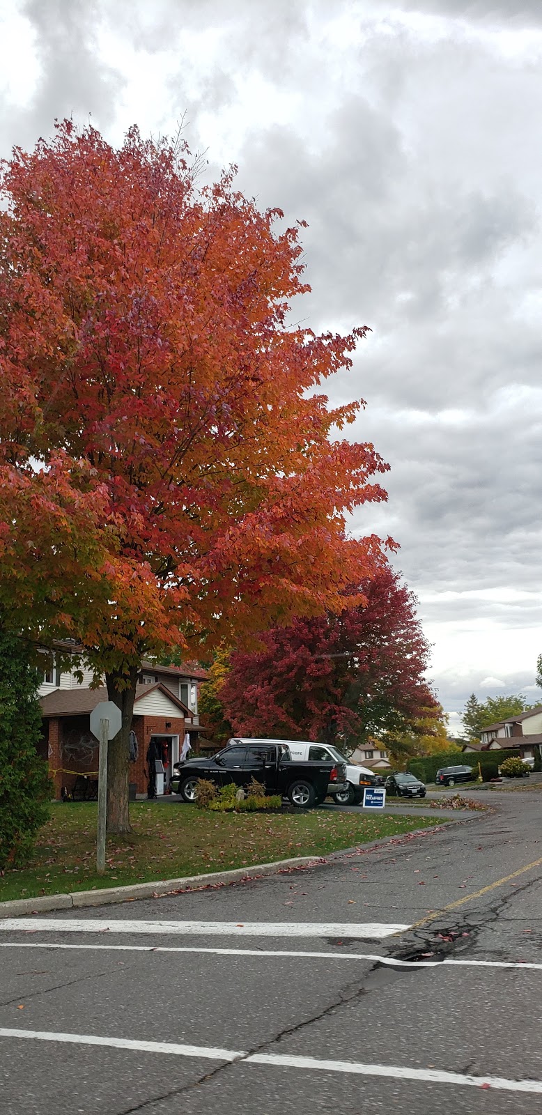 Hewitt Park | Katimavik-Hazeldean, Ottawa, ON K2L, Canada | Phone: (866) 261-9799