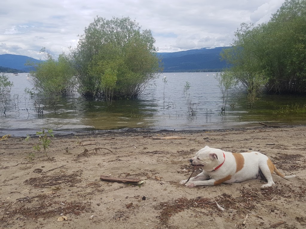 Jewel Bay Resort LTD | Columbia-Shuswap C, BC V0E 2W1, Canada | Phone: (250) 675-2639
