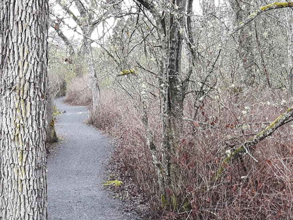 Brodick Park | Brodick Crescent, Victoria, BC V8N 5Z9, Canada