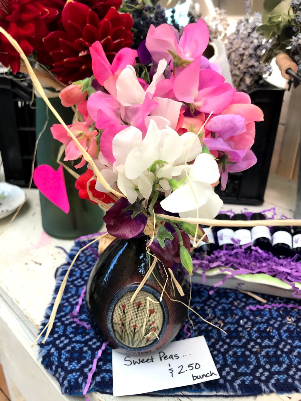 Miss Dahlia Store | 2241 Tippett Rd, Nanoose Bay, BC V9P 9E6, Canada | Phone: (250) 821-7339
