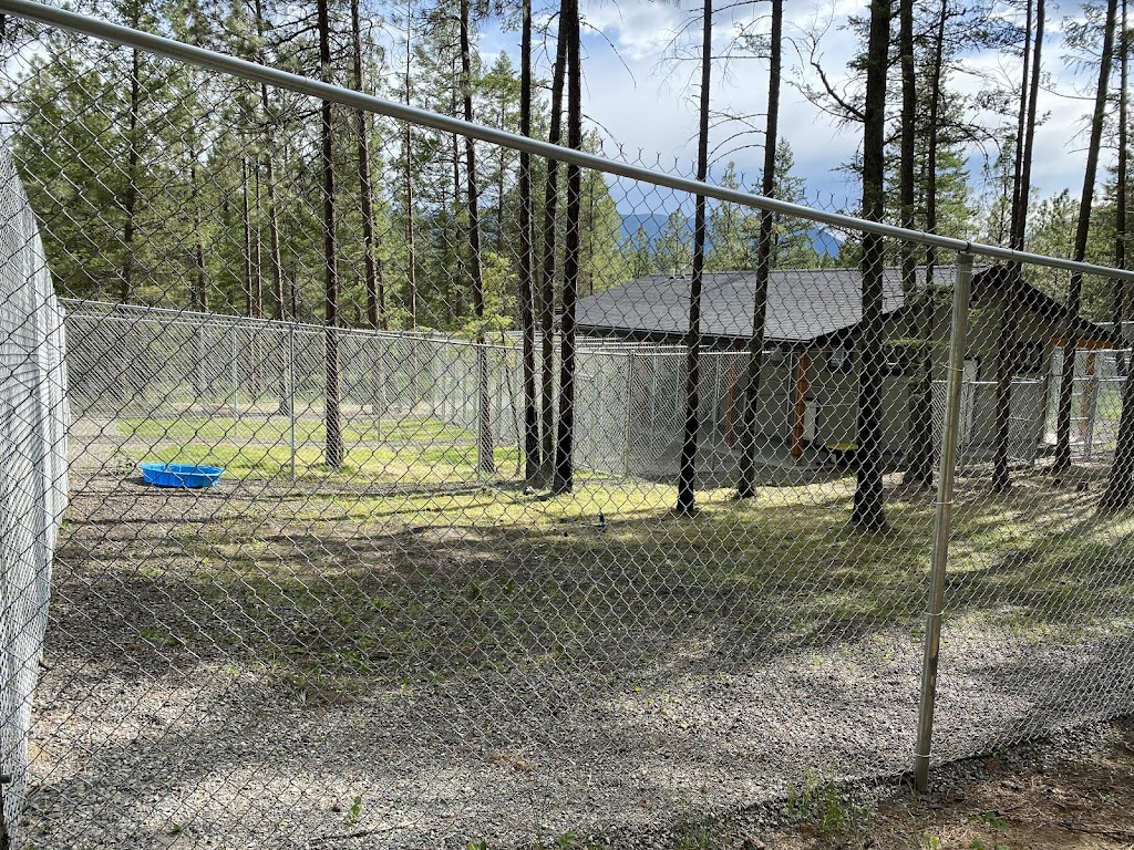 Picture Valley Dog Boarding | 4300 Fenwick Rd, Fort Steele, BC V0B 1N0, Canada | Phone: (250) 908-1962