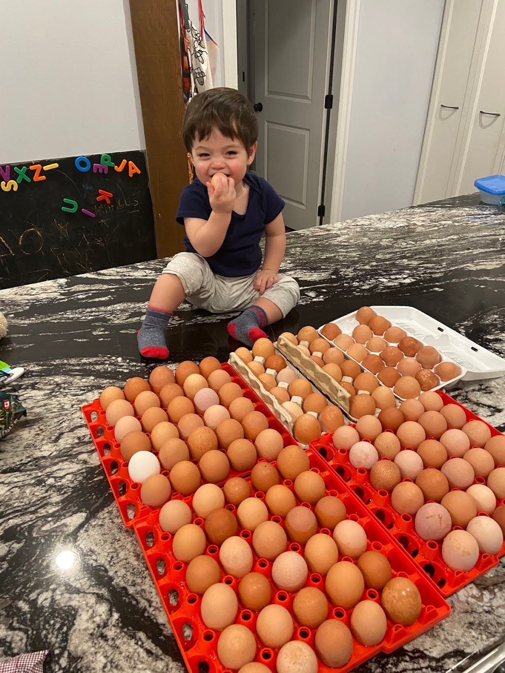 Booth’s Chicken Booth - Free Range Eggs | 17 McCallum Rd, Abbotsford, BC V2S 8A1, Canada | Phone: (778) 991-4955