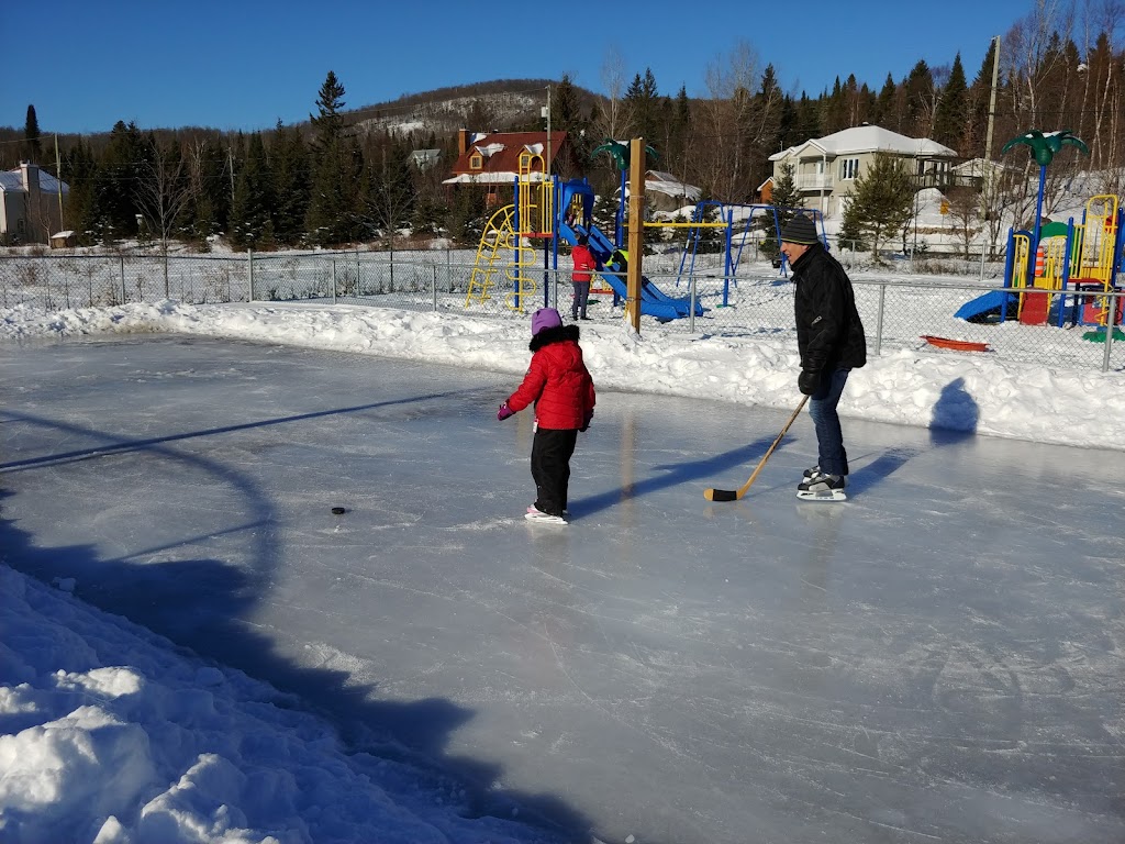 Mont Catherine Versant Sud Inc | 50 Ch Du Mont Catherine, Sainte-Agathe-des-Monts, QC J8C 2Z8, Canada | Phone: (819) 321-0404