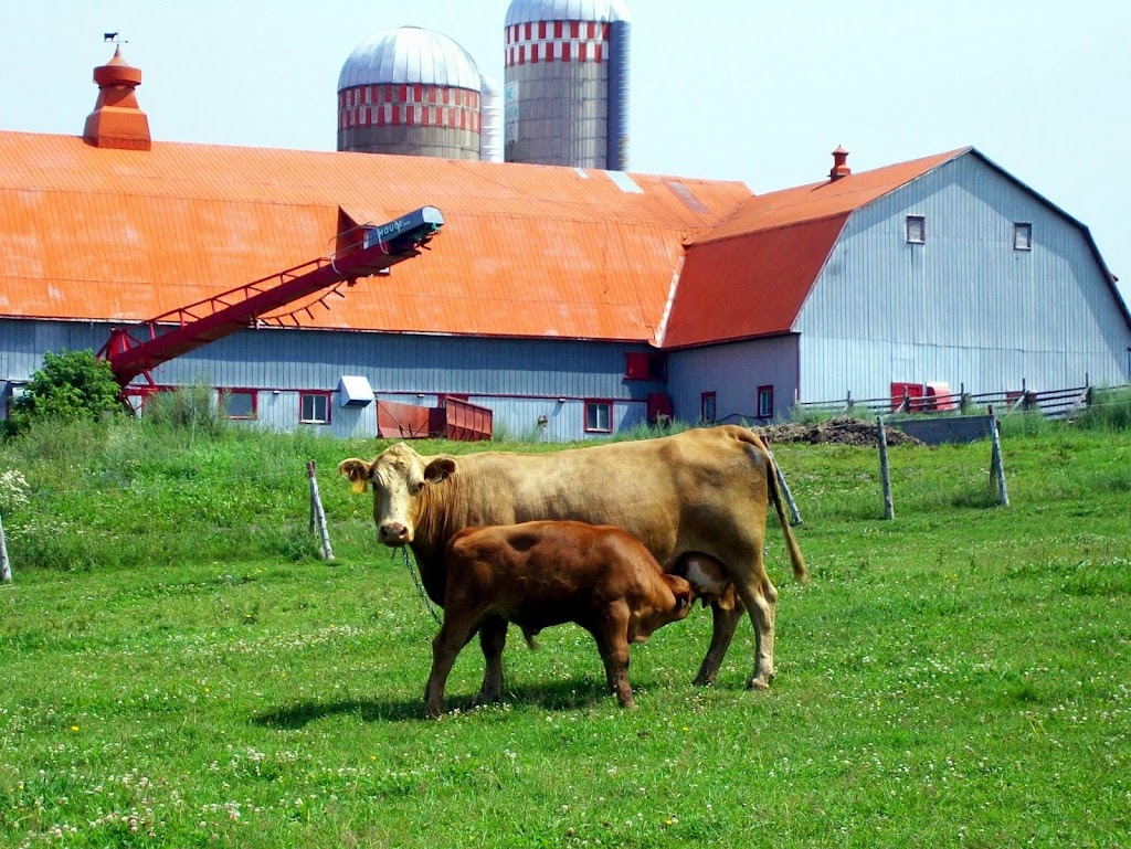 Ferme Luron Enr | 96 3e Rang E, Trois-Pistoles, QC G0L 4K0, Canada | Phone: (418) 851-4309