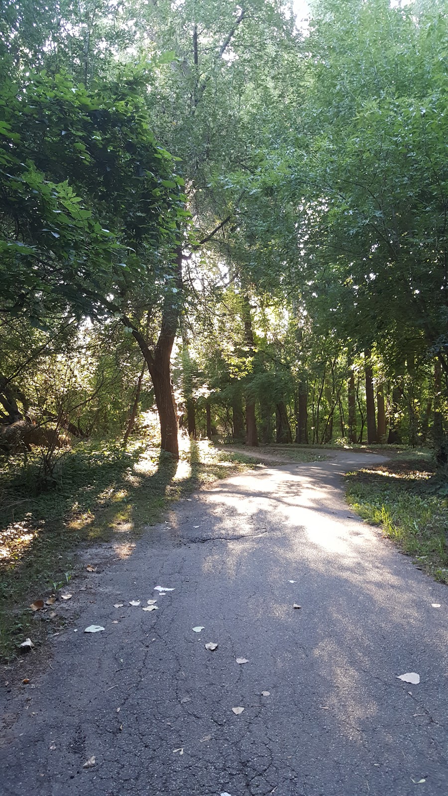 DAubigny Creek Park | Brantford, ON N3T, Canada | Phone: (519) 756-1500