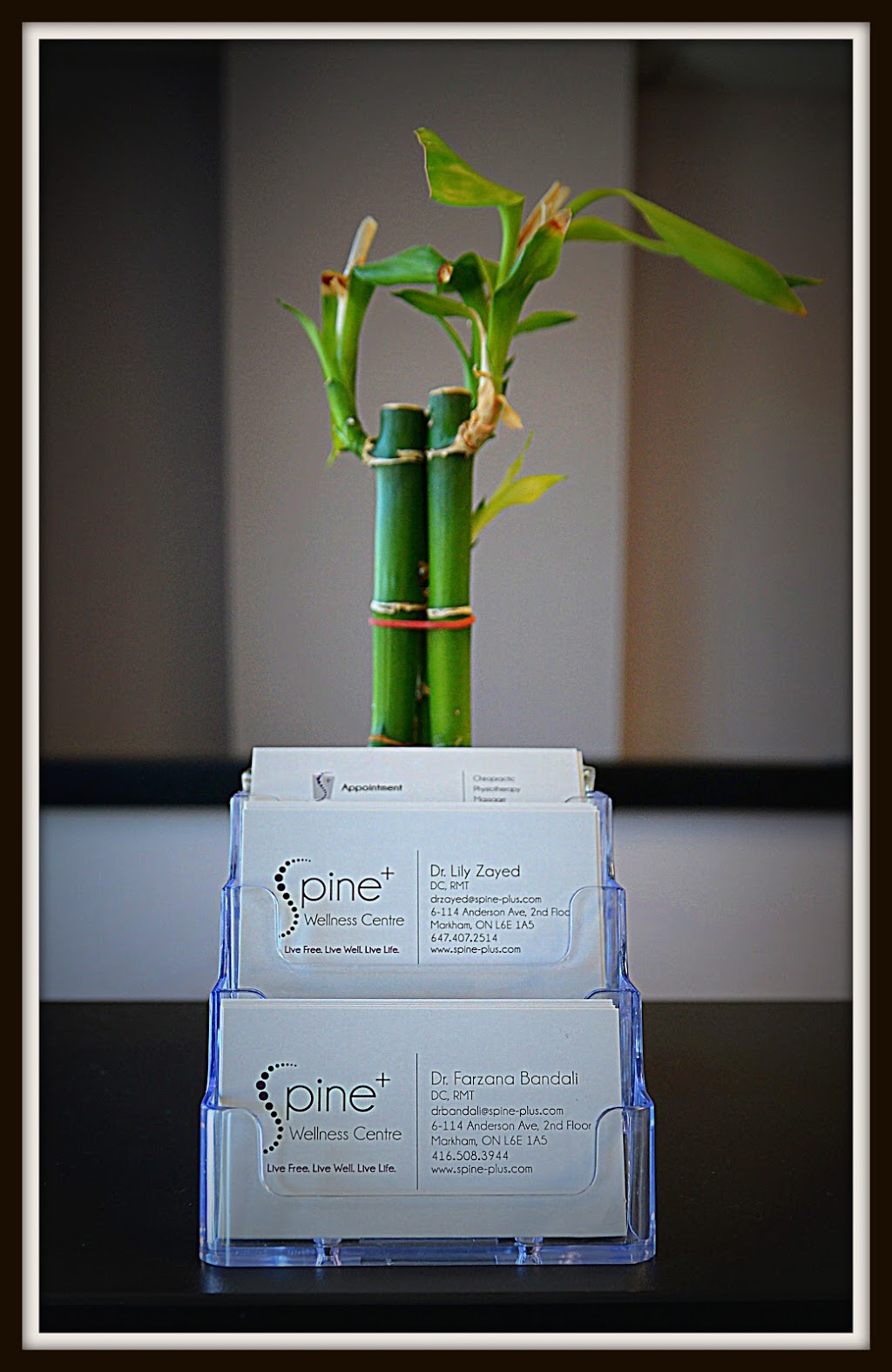 Spine Plus Wellness Centre | 50 Anderson Ave #7, Markham, ON L6E 1A6, Canada | Phone: (905) 554-7681