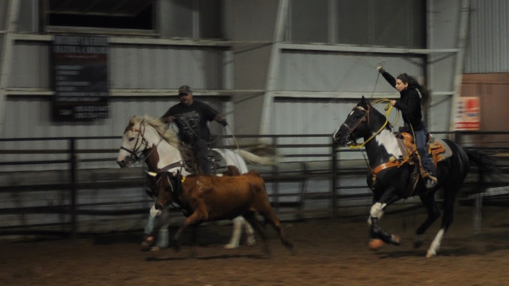 Lil-Bit Ranch | 3200 Bertie St, Ridgeway, ON L0S 1N0, Canada | Phone: (905) 894-8077