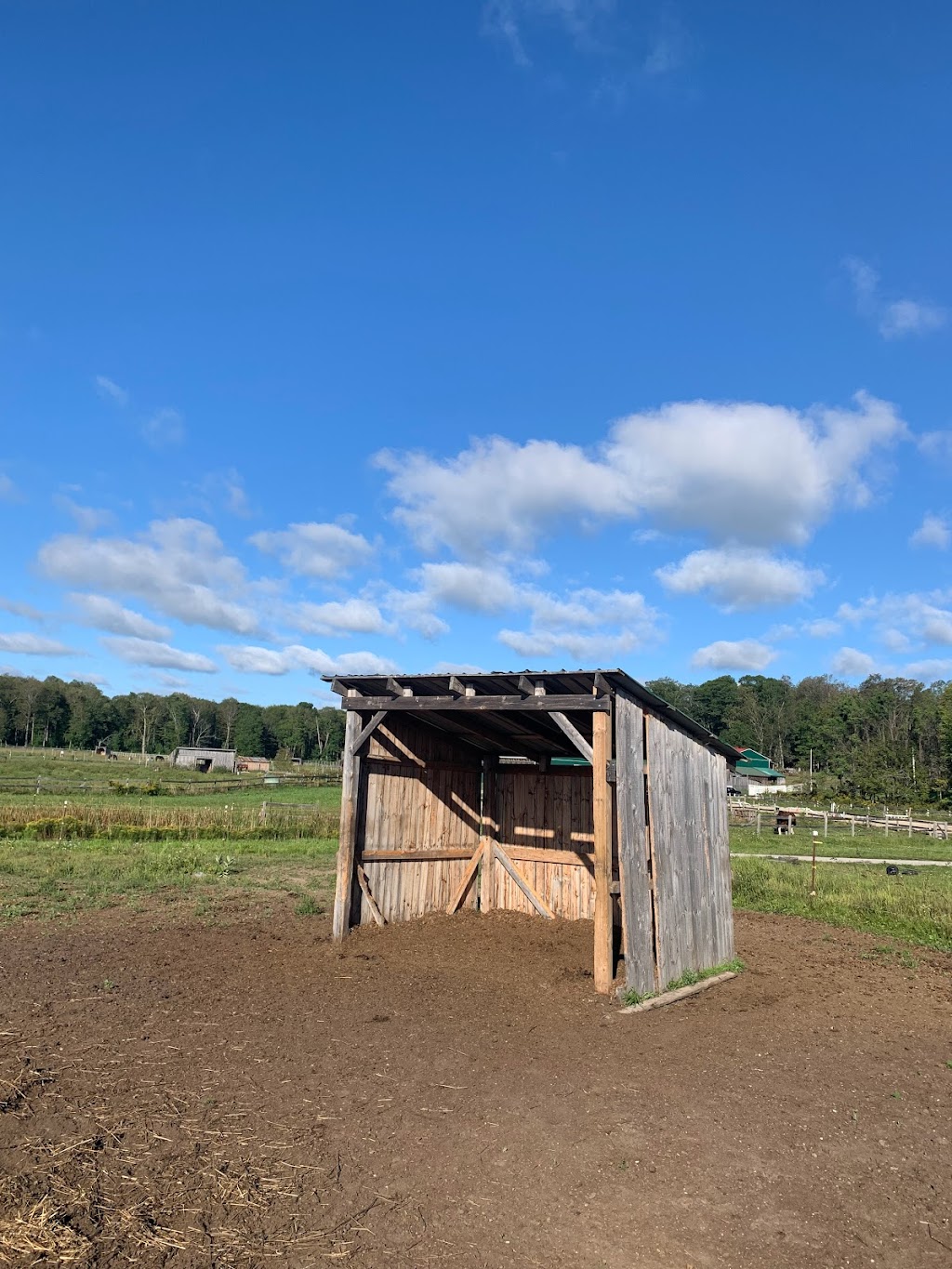 Freehand Farm Inc. | 5868 Penetanguishene Rd, Elmvale, ON L0L 1P0, Canada | Phone: (416) 844-4685