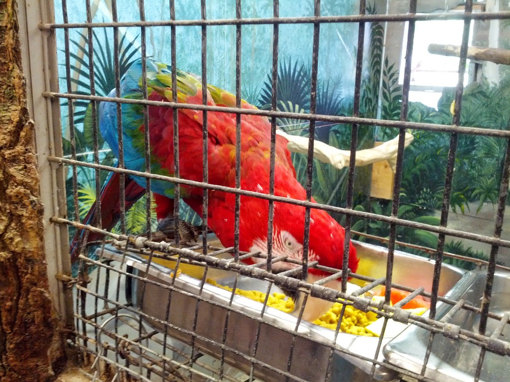 Friends of the Aviary | 85 Oak Knoll Dr, Hamilton, ON L8S 4C2, Canada | Phone: (905) 546-4842