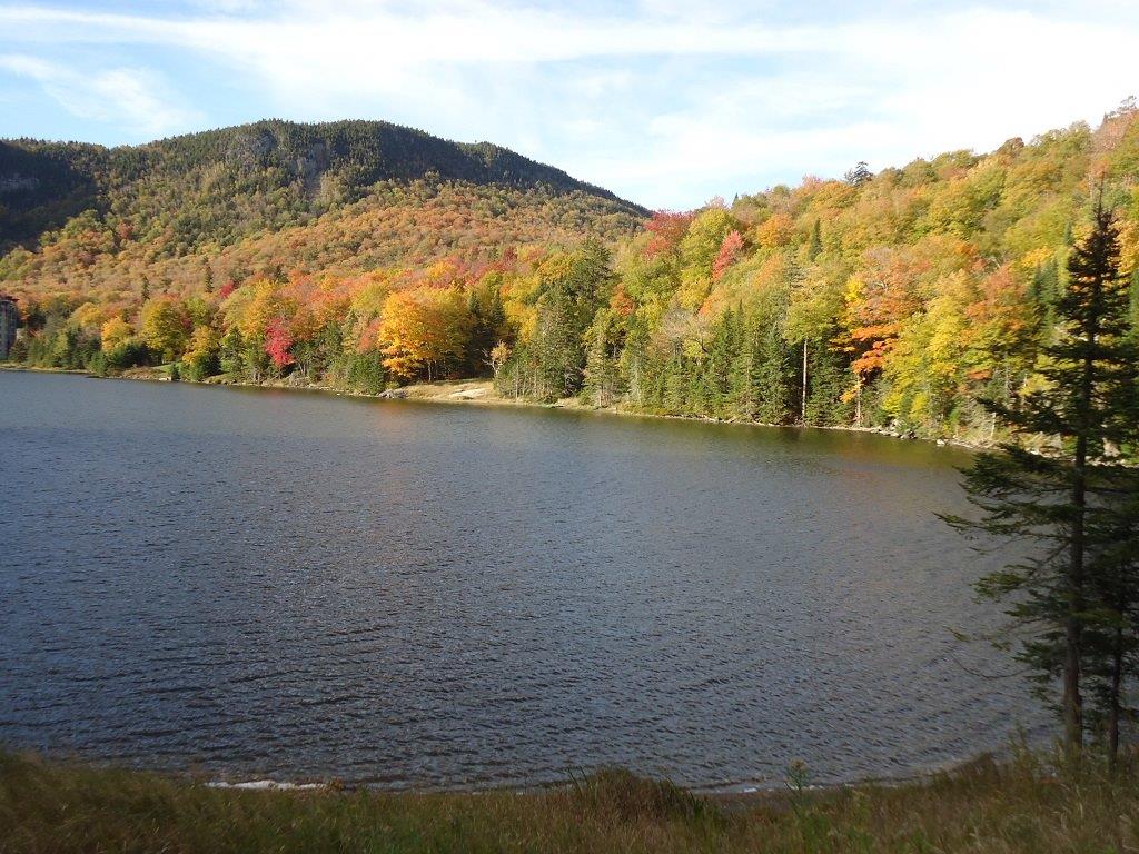 Raymond E Davis Real Estate | 20 Sunset Dr, Colebrook, NH 03576, USA | Phone: (603) 237-4400