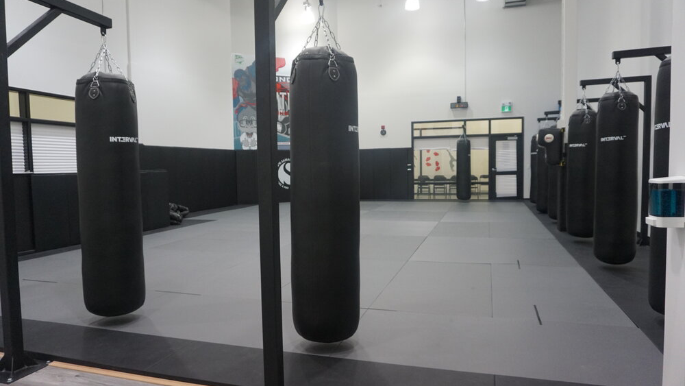 Platinum Training Facility | 1305 Commissioners Rd E, London, ON N6M 0B8, Canada | Phone: (226) 271-8381