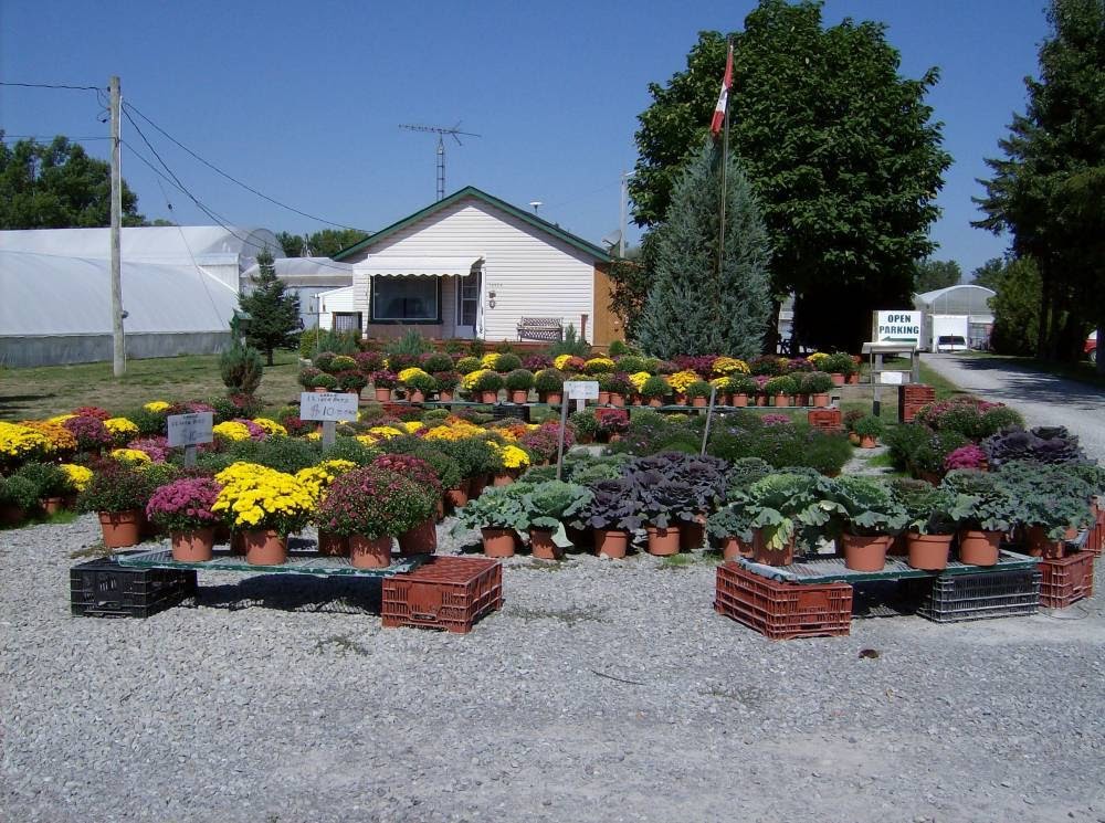 Green Acres Greenhouses | ON-3, Wainfleet, ON L0S 1V0, Canada | Phone: (905) 899-1201