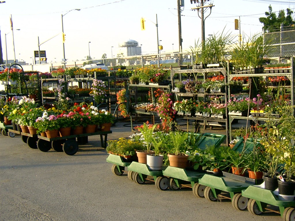 Villaccis | 53 Comstock Rd, Scarborough, ON M1L 2G6, Canada | Phone: (416) 759-5656