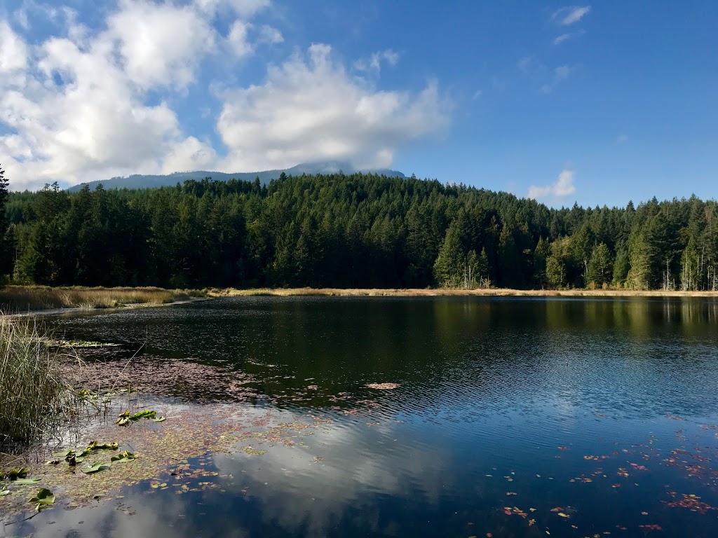 Weddles Lake Park | Chemainus, BC V0R 1K4, Canada | Phone: (250) 746-3100