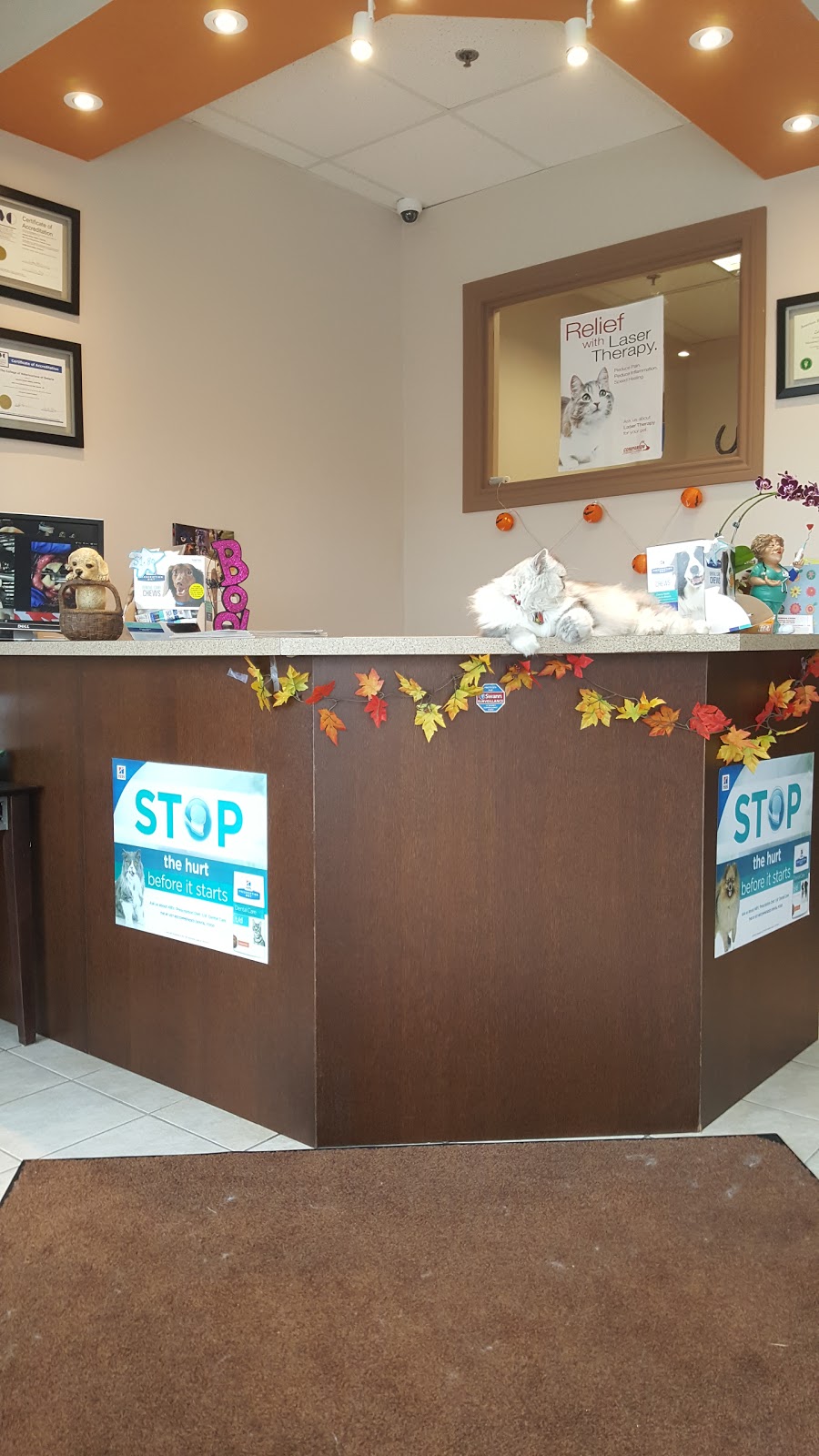Joshua Creek Animal Hospital | 2501 Prince Michael Dr, Oakville, ON L6H 0E9, Canada | Phone: (905) 257-6630
