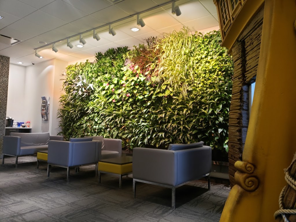 Oasis Family Dental | 6209 50 St #105, Leduc, AB T9E 7A9, Canada | Phone: (780) 986-0016