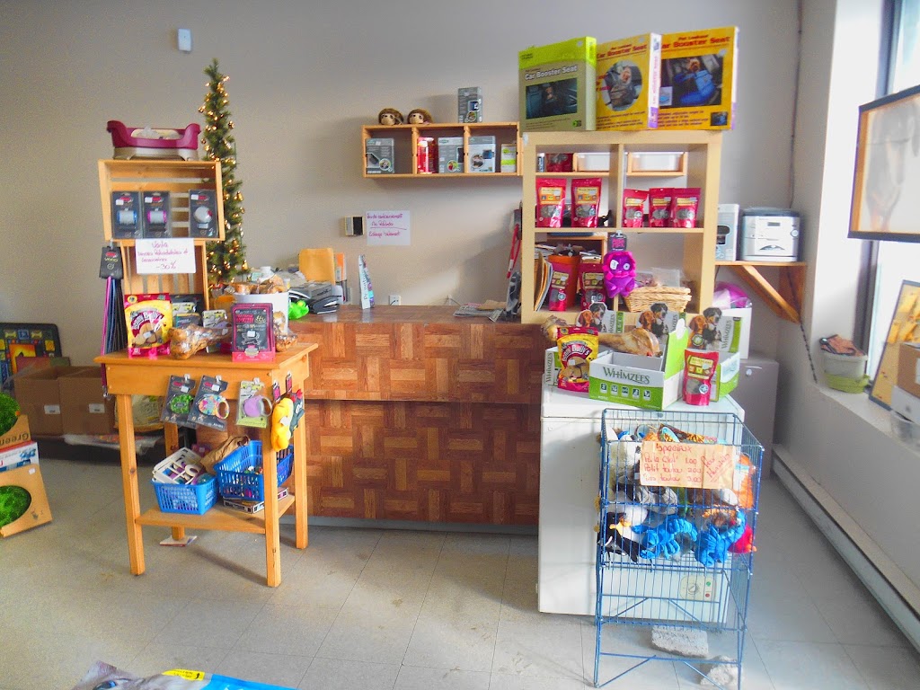 Chiens Chats et Cie | 915 Bd de la Salette, Saint-Jérôme, QC J5L 2K1, Canada | Phone: (450) 431-7504