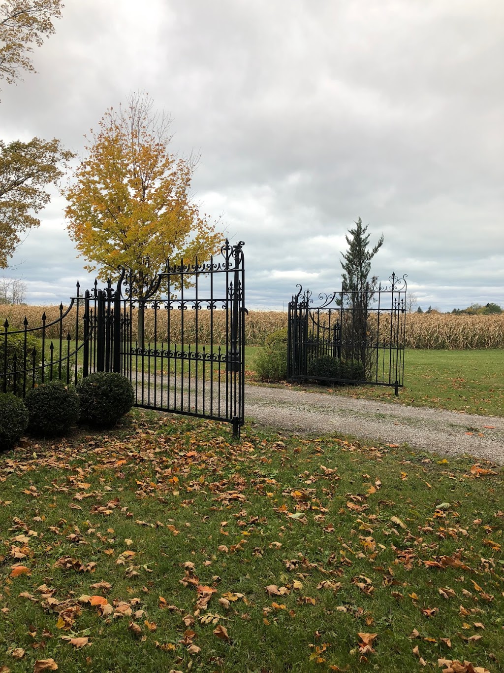 Lune | 35572 Huron Rd, Goderich, ON N7A 3X8, Canada | Phone: (226) 841-0208