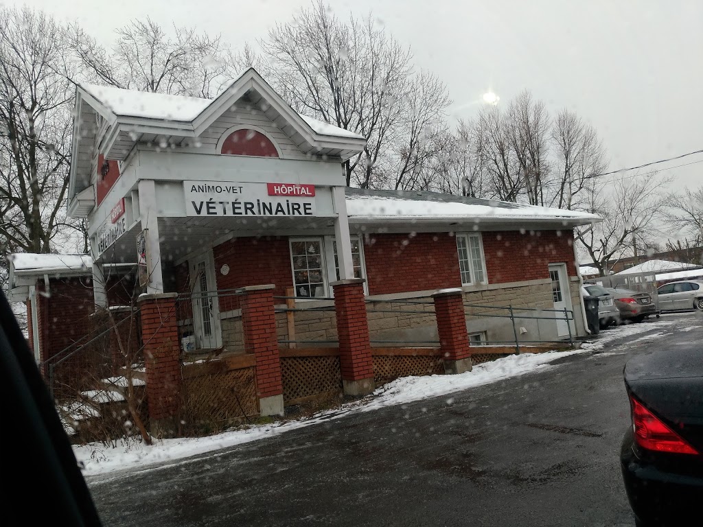 Anima Plus | 5435 Chemin de Chambly, Saint-Hubert, QC J3Y 3P2, Canada | Phone: (450) 443-1461