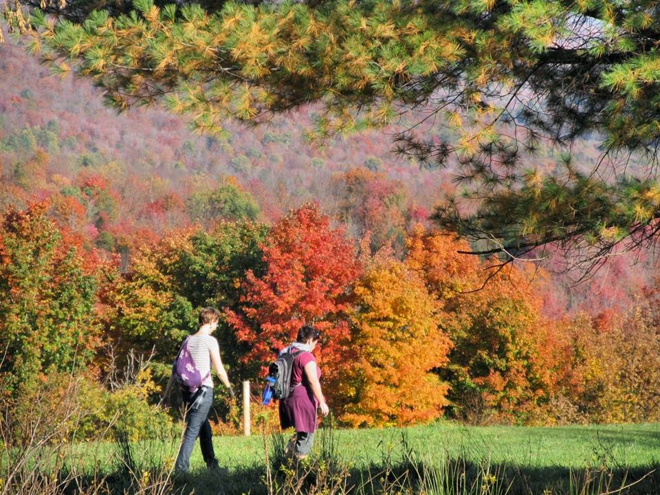 Au Diable Vert | 169 Chemin Staines, Sutton, QC J0E 2K0, Canada | Phone: (450) 538-5639
