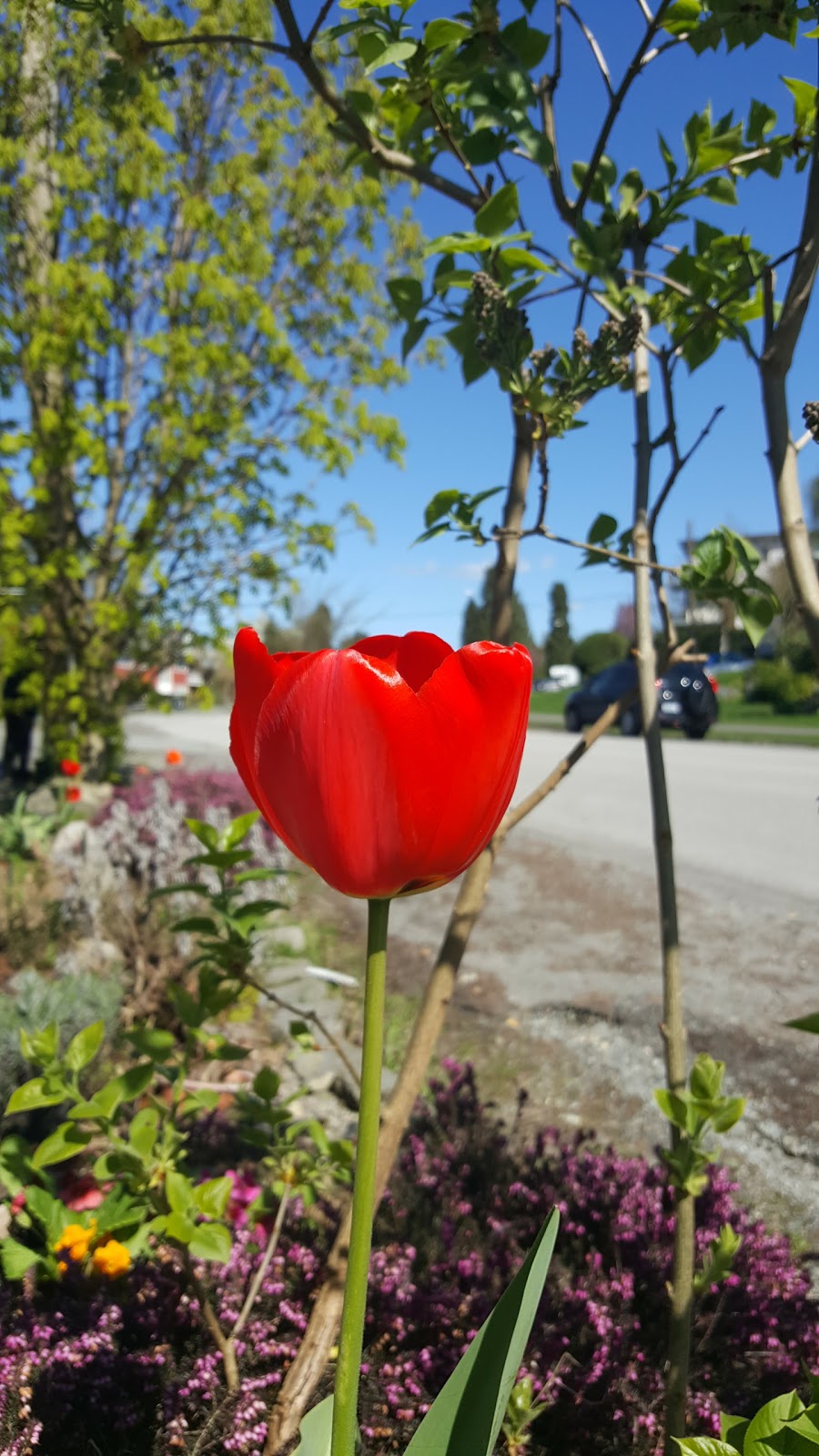 McGill Park | 2305 McGill St, Vancouver, BC V5L 1C5, Canada