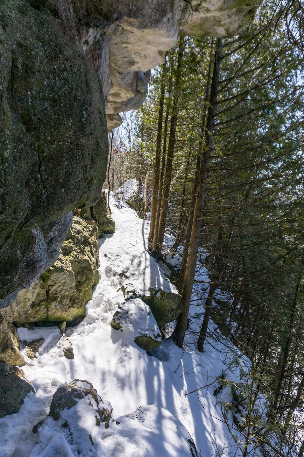 Old Baldy Conservation Area | 120 Old Baldy Access Rd, Kimberley, ON N4K 5N6, Canada | Phone: (519) 376-3076