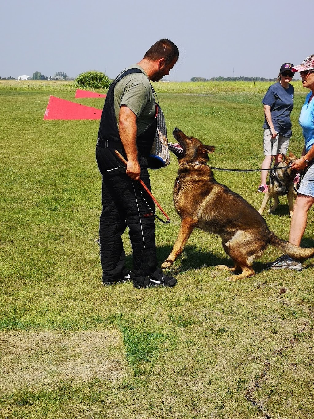 Winnipeg Working Dog Club | MB-101, Stony Mountain, MB R0C 3A0, Canada | Phone: (204) 793-1470