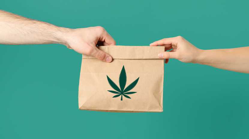 Weed Delivery Collingwood – Gorilla Ganja | 2 N Maple St, Collingwood, ON L9Y 2T8, Canada | Phone: (705) 427-6451