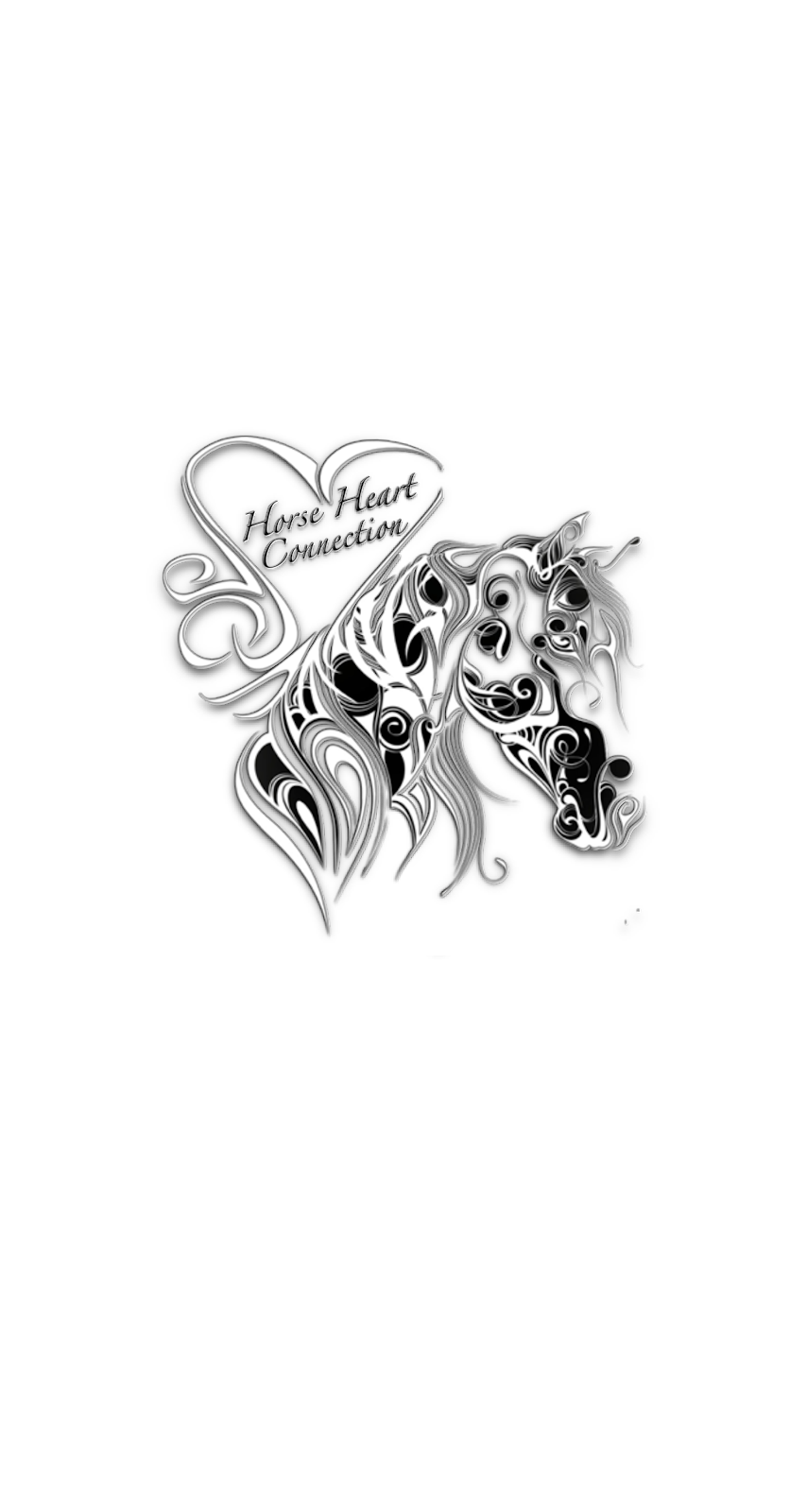 Horse Heart Connection | 1159 Bazett Rd, Duncan, BC V9L 5S8, Canada | Phone: (778) 400-8549