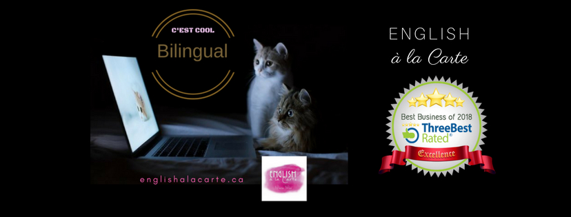 English à la Carte | 8750 Boulevard Rivard, Brossard, QC J4X 1W6, Canada | Phone: (514) 247-3339