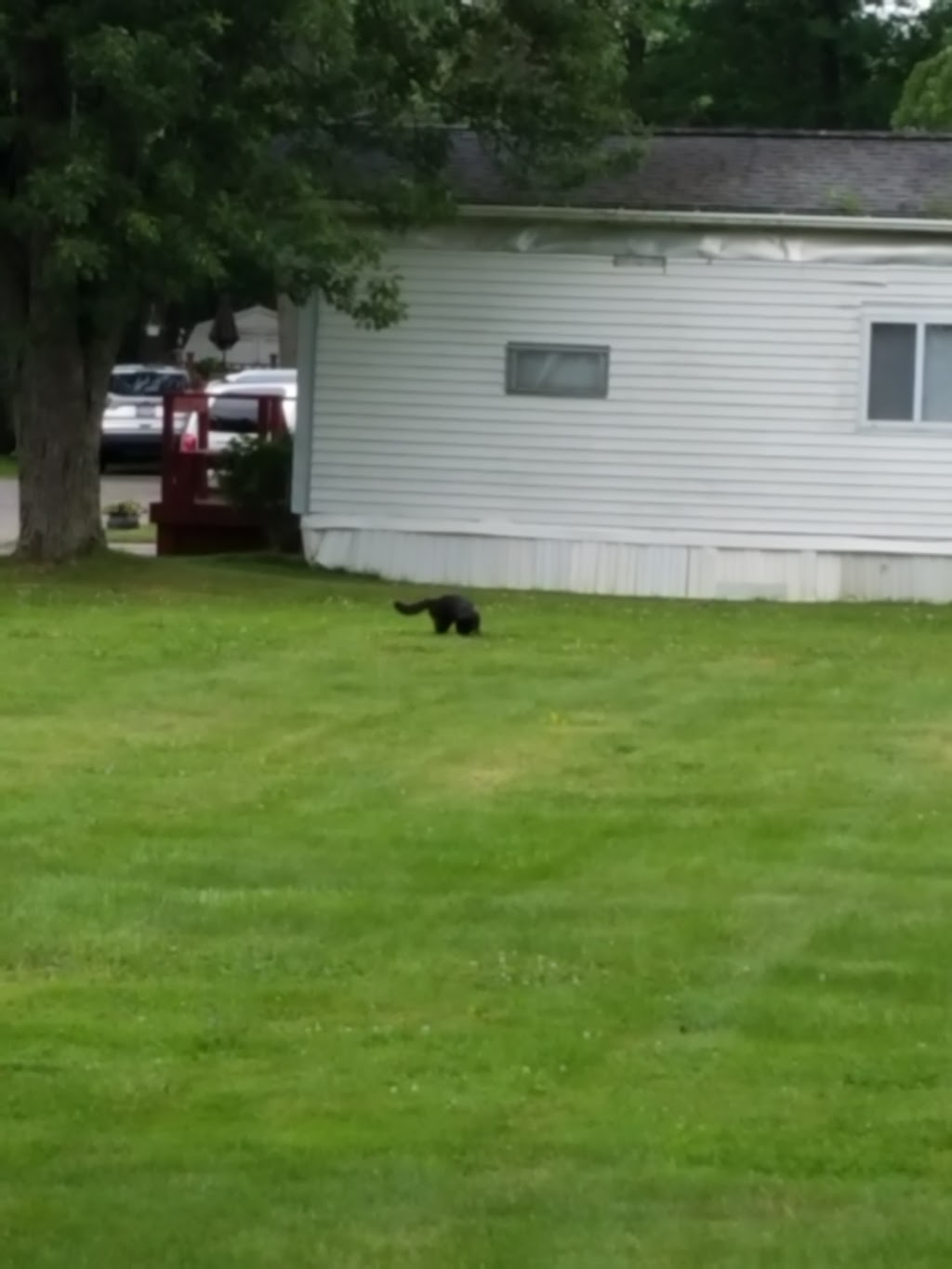 Suburban Rapids Mobile Home | 6763 Minnick Rd, Lockport, NY 14094, USA | Phone: (716) 434-4641