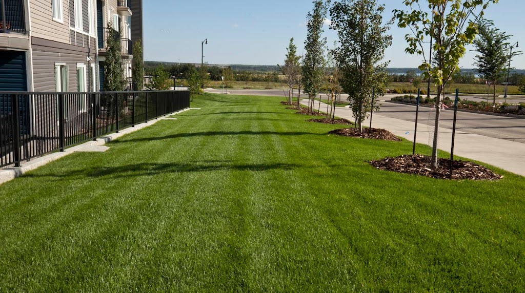 Park Lawn Care | 20924 100 Ave NW, Edmonton, AB T5T 5X8, Canada | Phone: (780) 446-6926