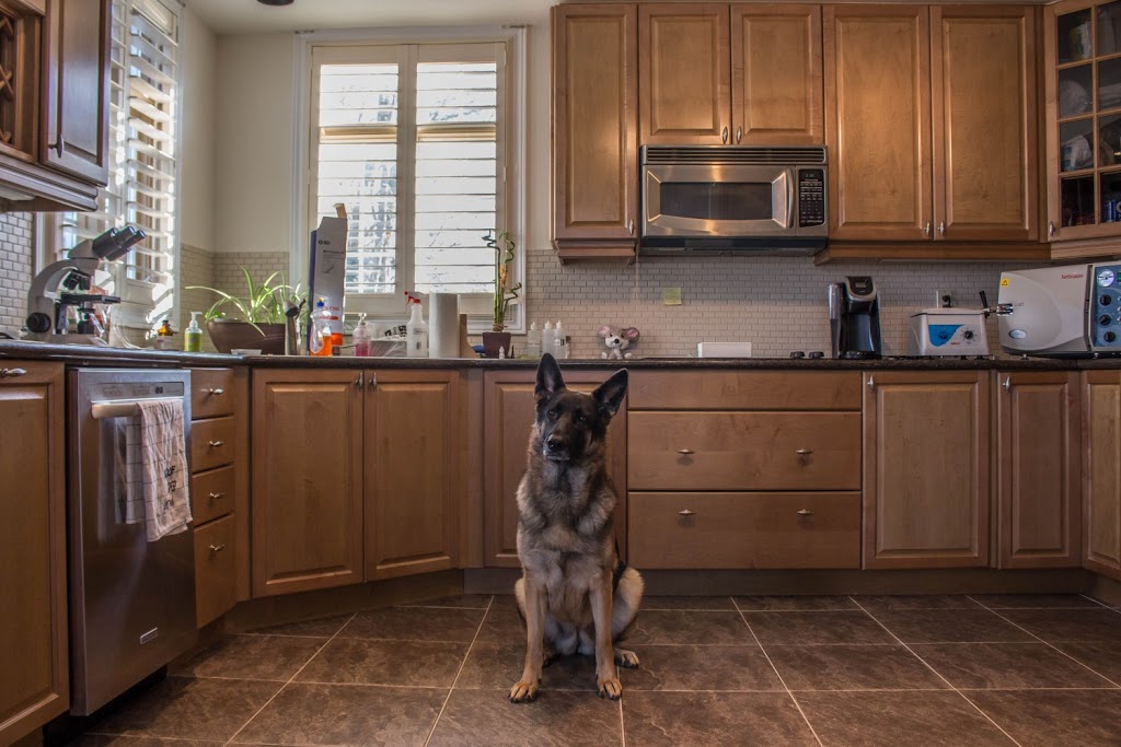 Carter Veterinary Hospital | 2323 Durham Regional Hwy 2, Bowmanville, ON L1C 3K7, Canada | Phone: (905) 419-3500