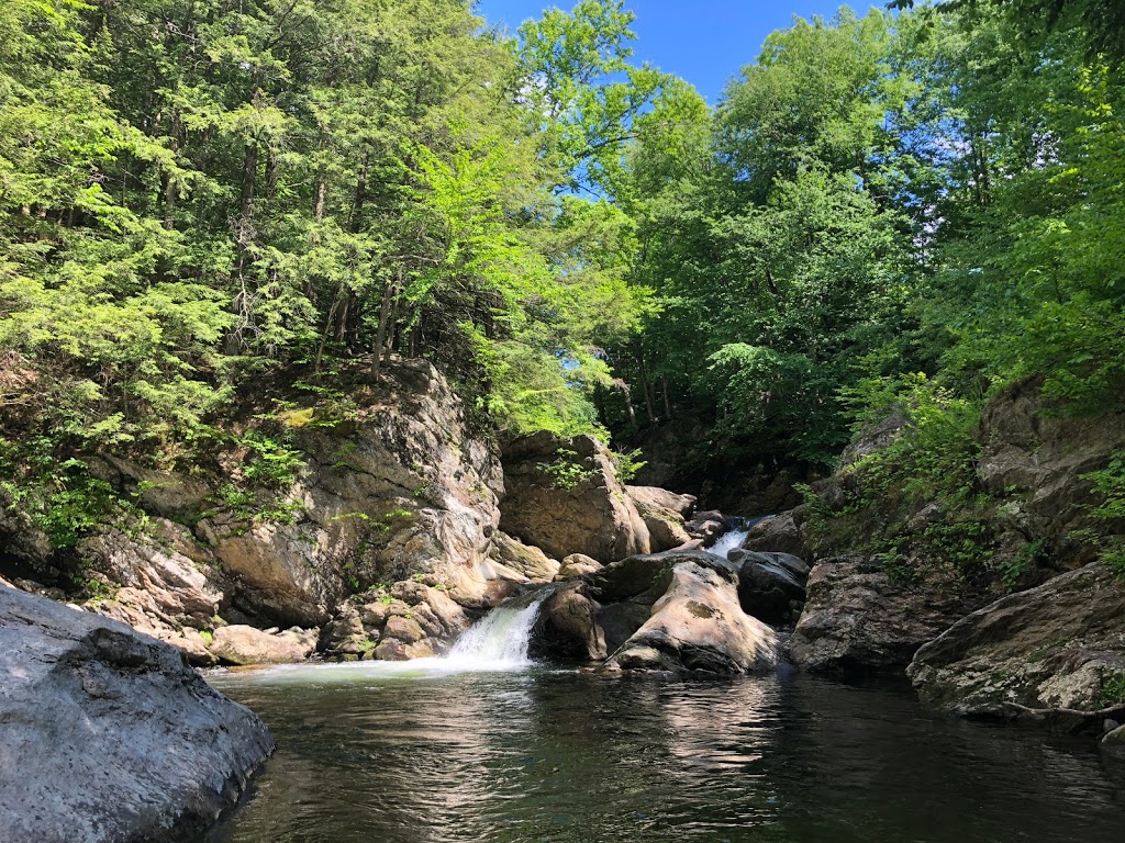 Trout River Lodge | 21 Hazens Notch Rd, Montgomery Center, VT 05471, USA | Phone: (949) 226-2530