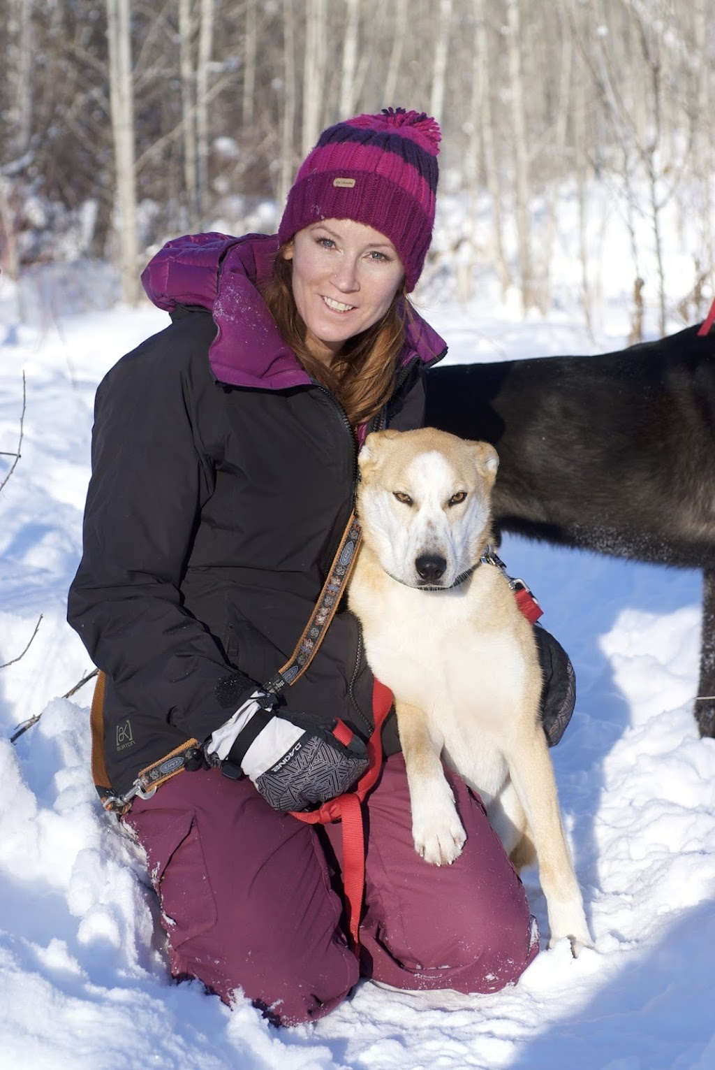 Furry Toes Pet Services | 3607 34A Ave NW, Edmonton, AB T6L 3Y8, Canada | Phone: (780) 289-8755