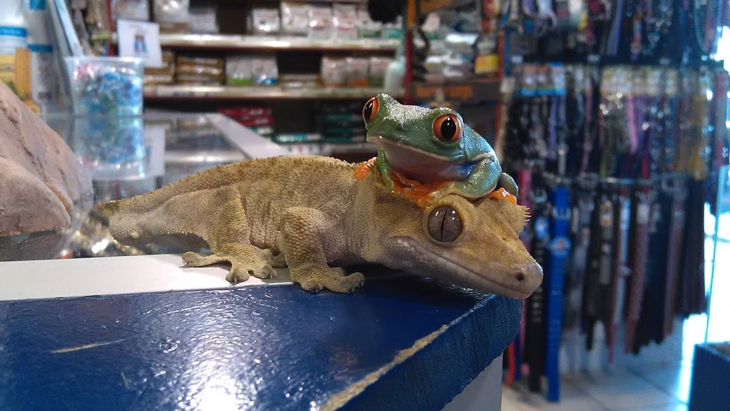 Animalerie | 1080 Rang Saint-François, Terrebonne, QC J6Y 1Z5, Canada | Phone: (450) 979-9724