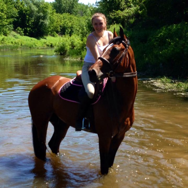 Cavalli Equestrian Center | 4900 Chemin Bellerive, Carignan, QC J3L 1P3, Canada | Phone: (514) 814-6718
