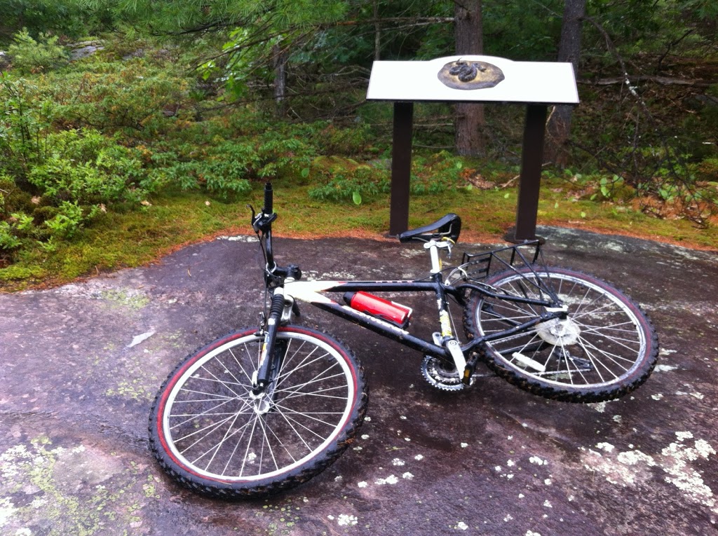 Muskoka Naturopathic Family Practice, Dr Howie Owens ND | 159 John St, Bracebridge, ON P1L 2E1, Canada | Phone: (705) 645-9047