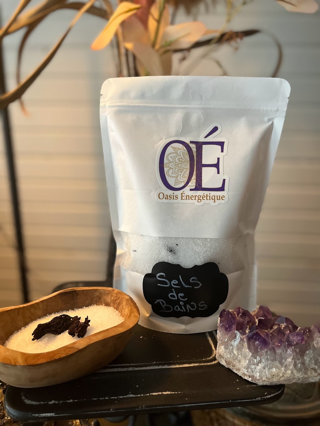Oasis Énergétique | 100 Rue Joseph Aubin, Saint-Jérôme, QC J7Y 4Z3, Canada | Phone: (438) 404-2508