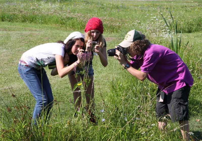Centauri Summer Arts Camp | 6727 S Chippawa Rd, Wellandport, ON L0R 2J0, Canada | Phone: (416) 766-7124
