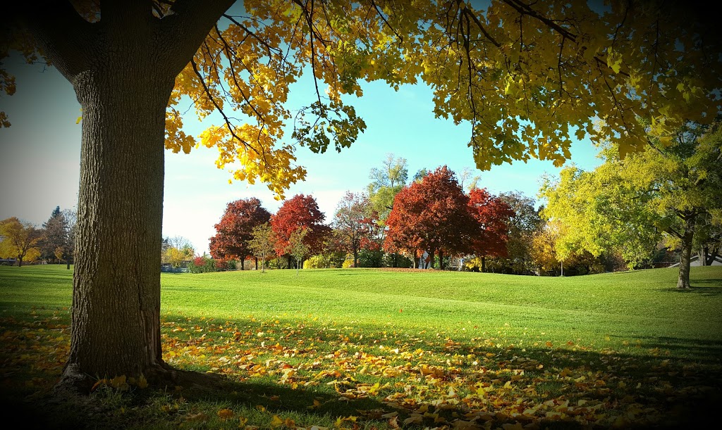 Ellison Park | 50 Yeomans Rd, North York, ON M3H 0A6, Canada | Phone: (416) 392-2489
