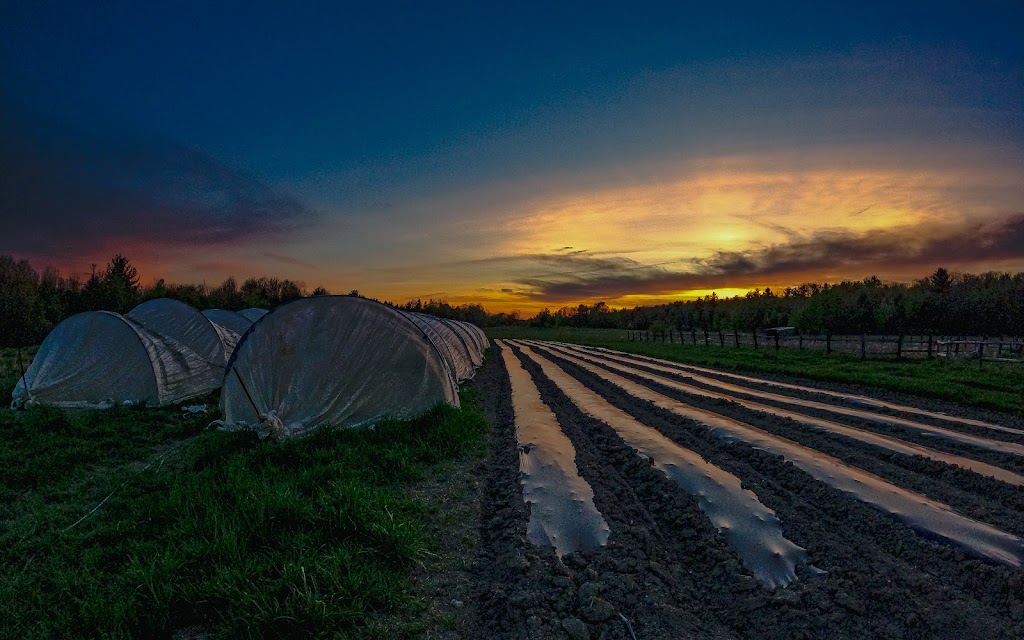 Fairweather Farm / Ferme du Beau Temps | 329 Côte St Charles, Papineauville, QC J0V 1R0, Canada | Phone: (438) 350-6568