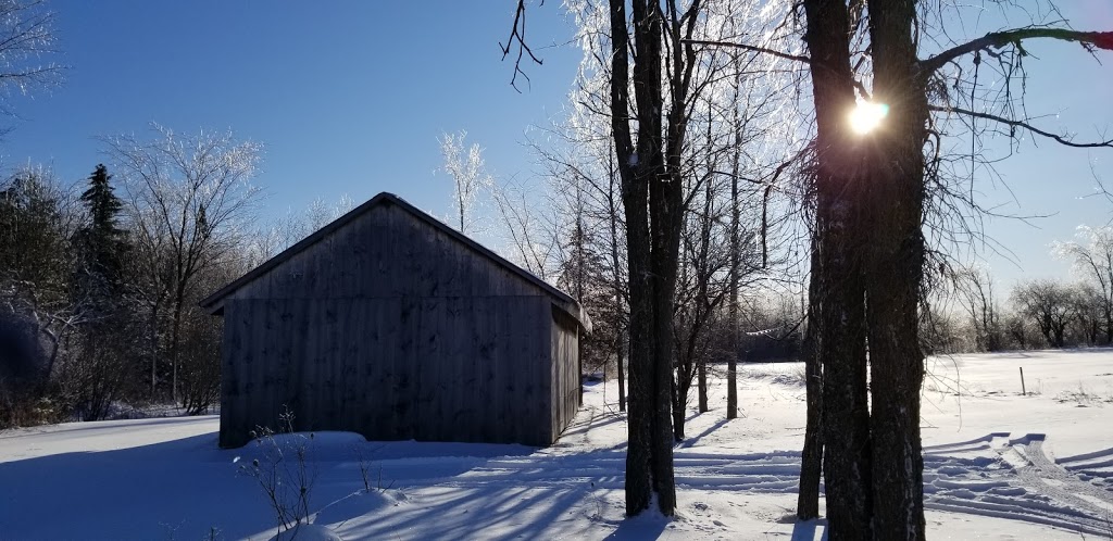 Chicken Thika Farm | 7687 Sideroad 2 E, Kenilworth, ON N0G 2E0, Canada | Phone: (519) 940-6502