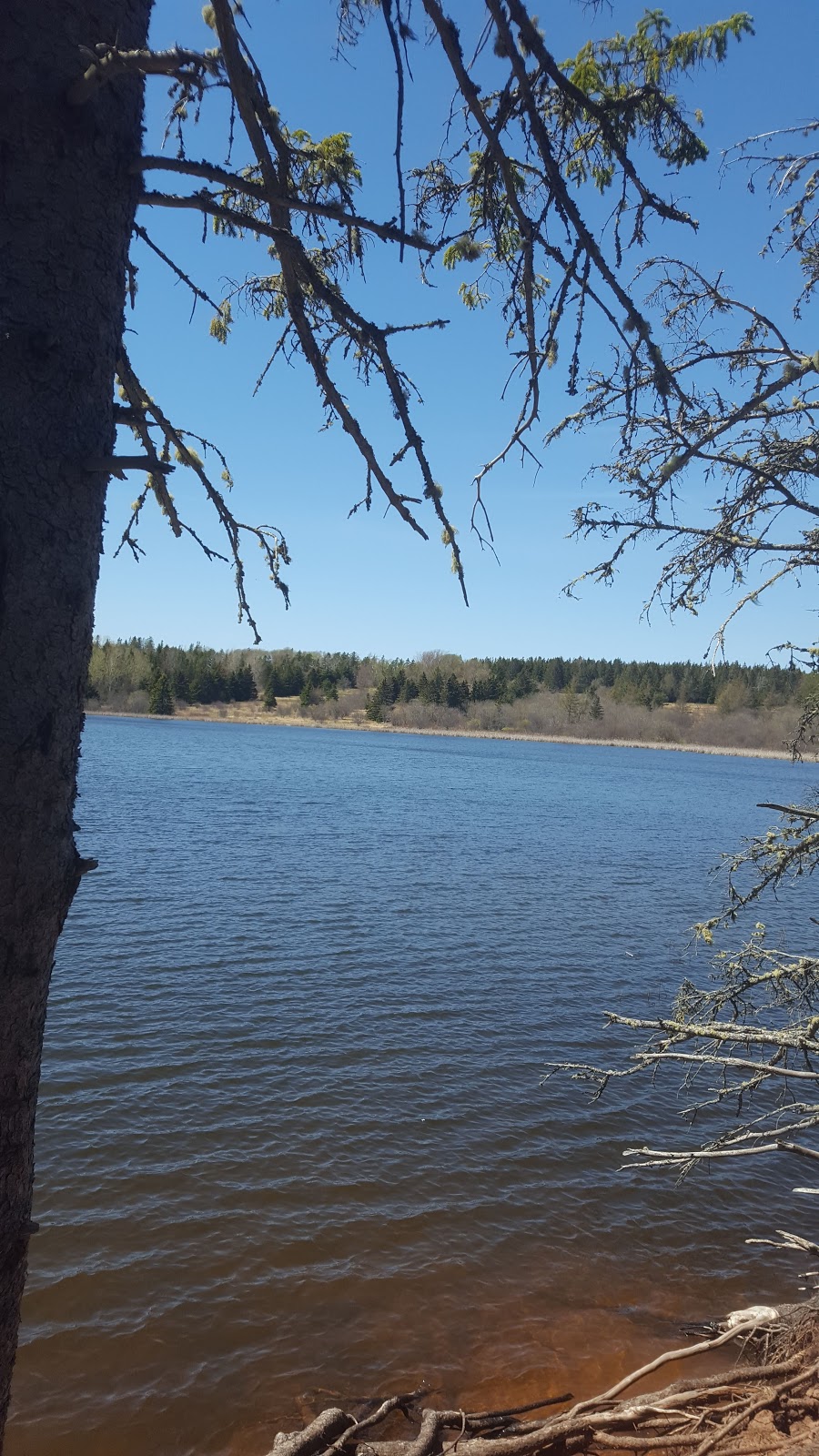 Chignecto National Wildlife Area | 930 Southampton Rd, Amherst, NS B4H 3Y4, Canada | Phone: (902) 426-1900