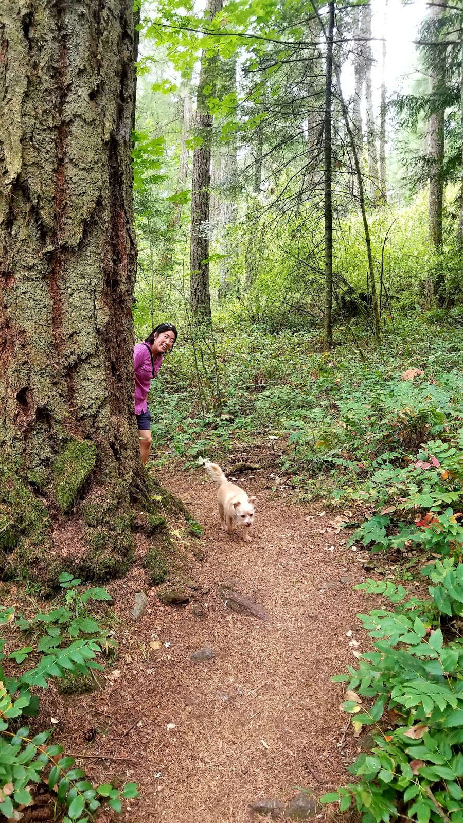 Charlton Park | 2C8, Charlton Rd, Victoria, BC V9E 2C8, Canada