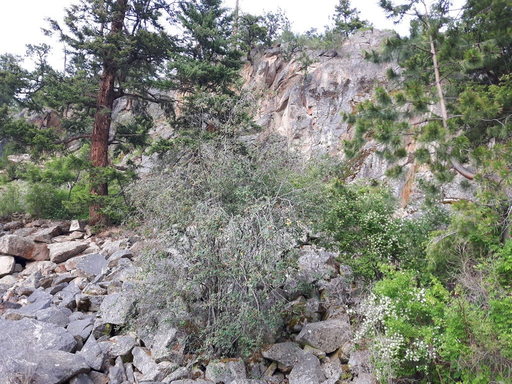 Ellison Provincial Park | Vernon, BC, Canada