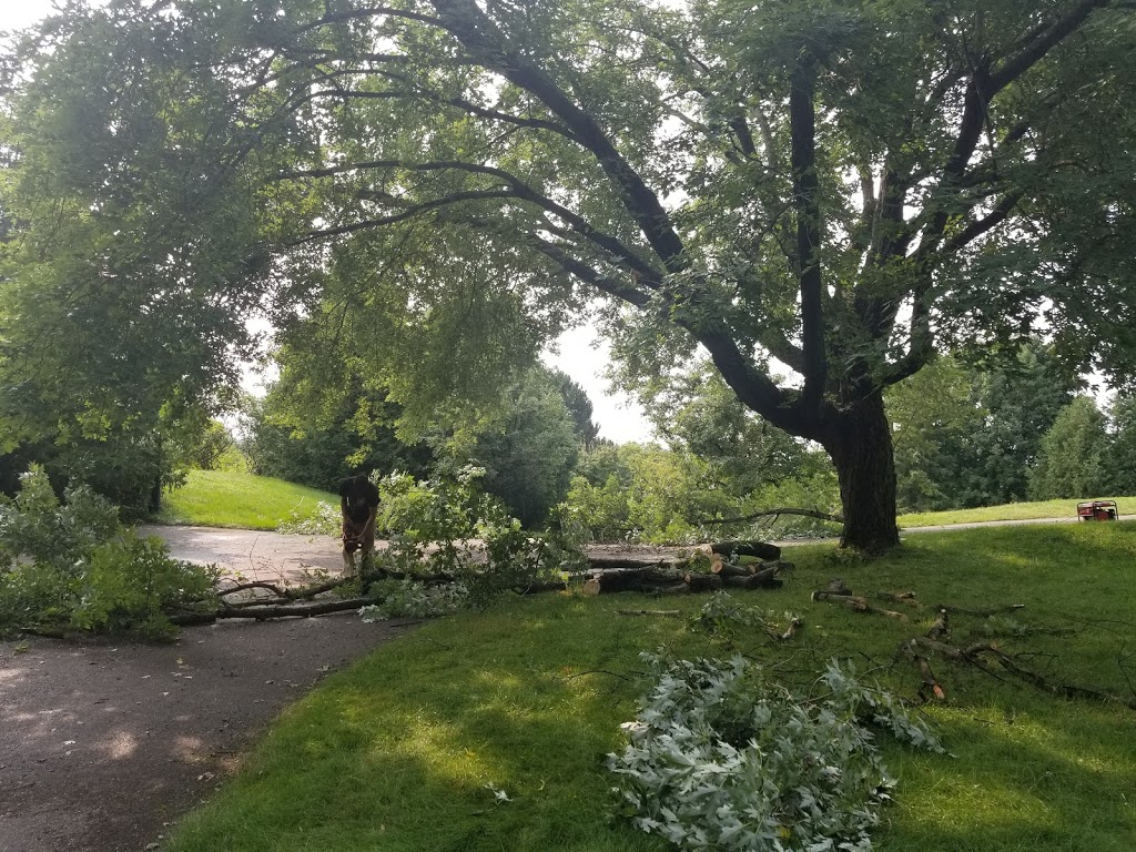 Big and small landscaping | 17231 RR 50, Palgrave, ON L7E 0K8, Canada | Phone: (905) 586-0847
