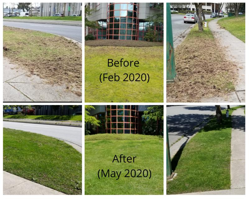 Premier Landscaping Inc | 18663 52 Ave Unit 103, Surrey, BC V3S 8E5, Canada | Phone: (604) 576-5764
