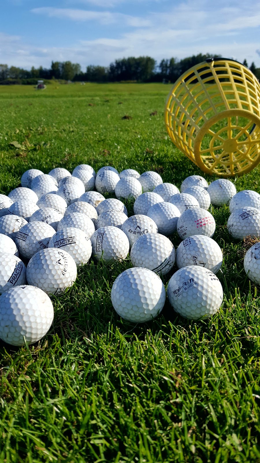 Ponoka Community Golf Club | 3519 46 St, Ponoka, AB T4J 1R5, Canada | Phone: (403) 783-4626